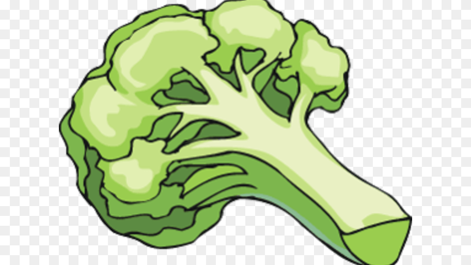 Vegetable Clip Art, Food, Produce, Broccoli, Plant Png