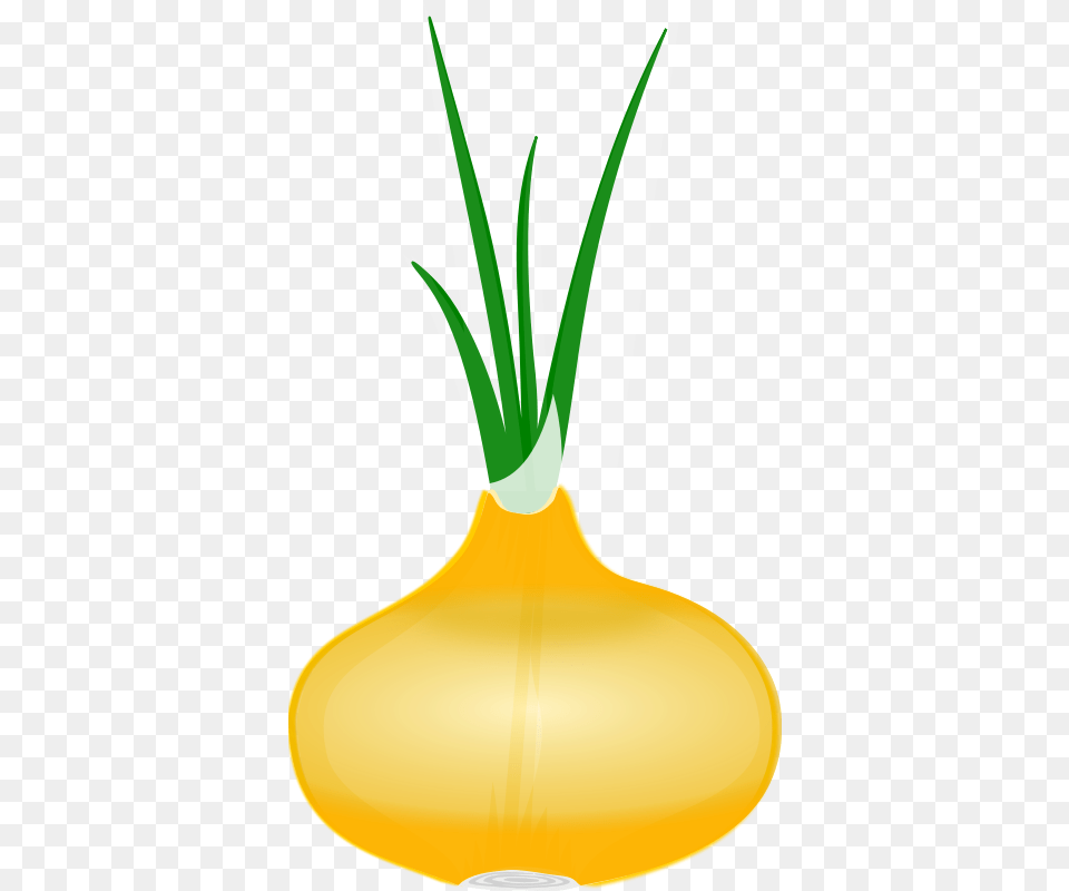 Vegetable Clipart, Food, Produce, Jar, Pottery Free Transparent Png