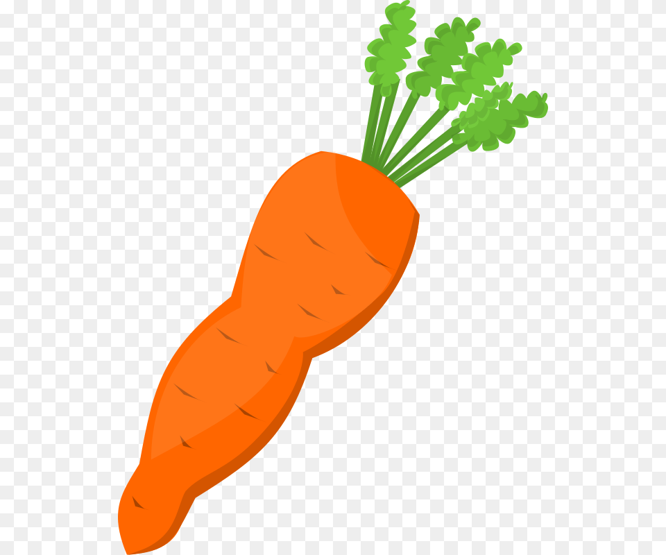 Vegetable Clipart Carrot Nose, Food, Plant, Produce, Person Free Transparent Png