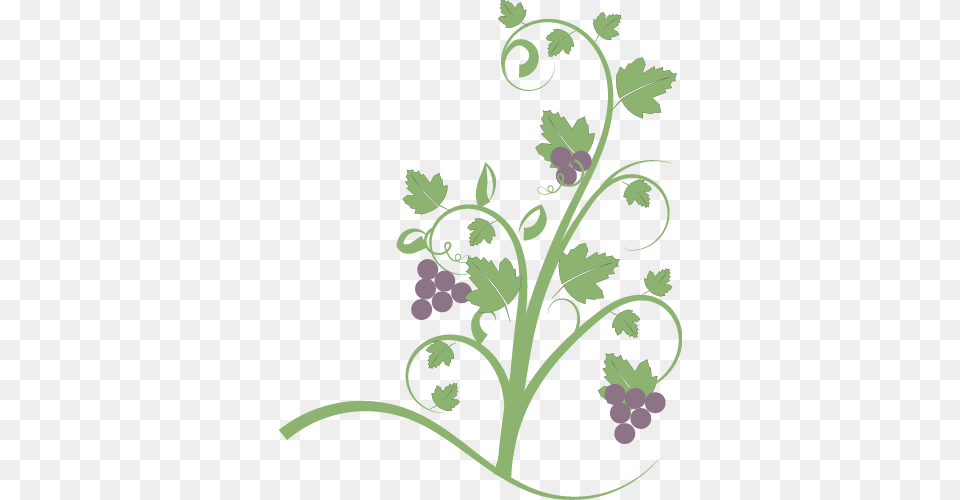 Vegetable Clipart Vine, Art, Floral Design, Graphics, Pattern Png Image