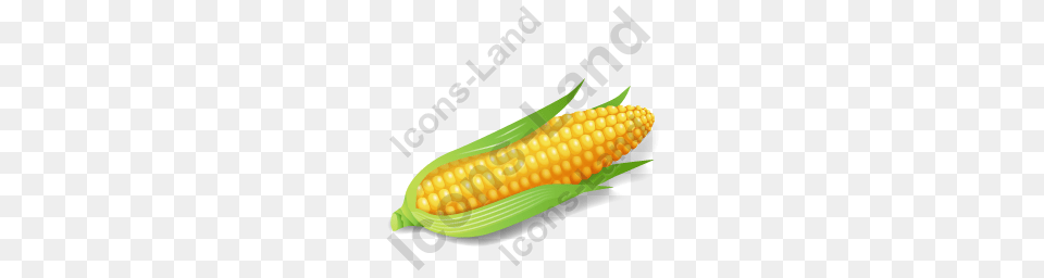 Vegetable Corn Icon Pngico Icons, Food, Grain, Plant, Produce Free Png Download