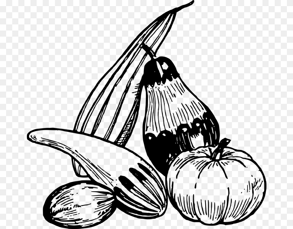 Vegetable Drawing Fruit Line Art Eggplant, Gray Free Transparent Png