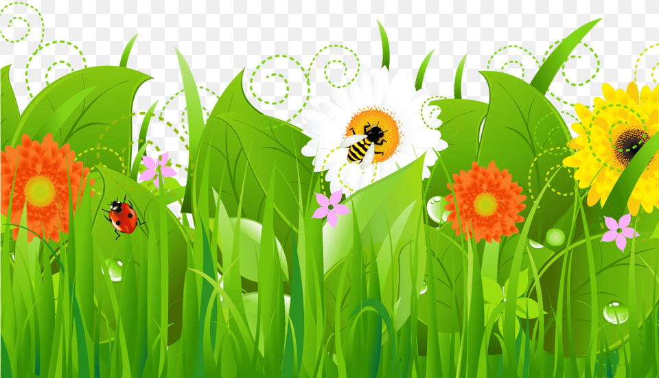 Vegetable Garden Border Clipart Grass With Flowers Clipart, Daisy, Plant, Flower, Green Png
