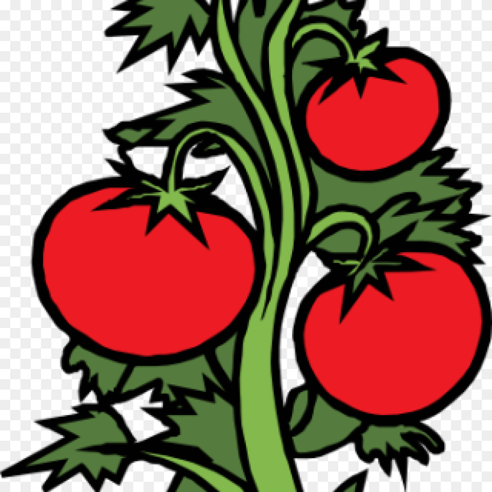 Vegetable Garden Clip Art Clipart Download, Food, Plant, Produce, Tomato Free Transparent Png