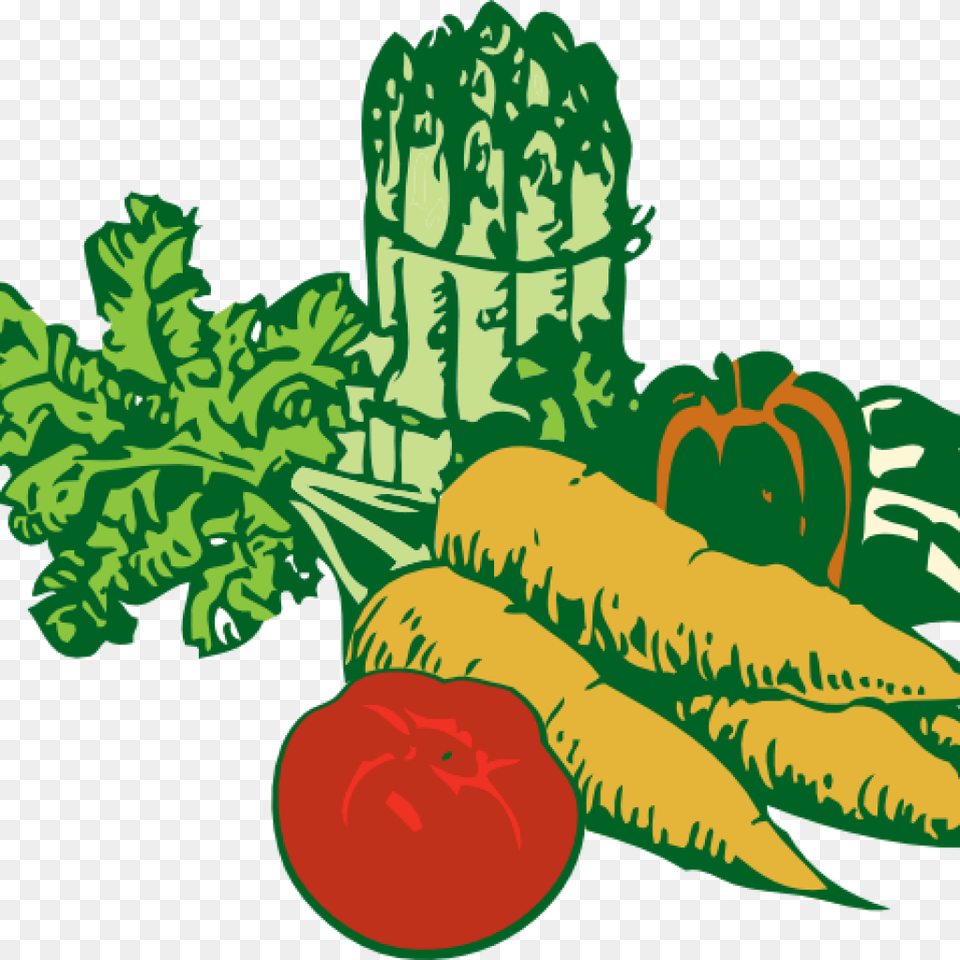Vegetable Garden Clipart Clipart Produce, Food, Radish, Plant Free Png Download