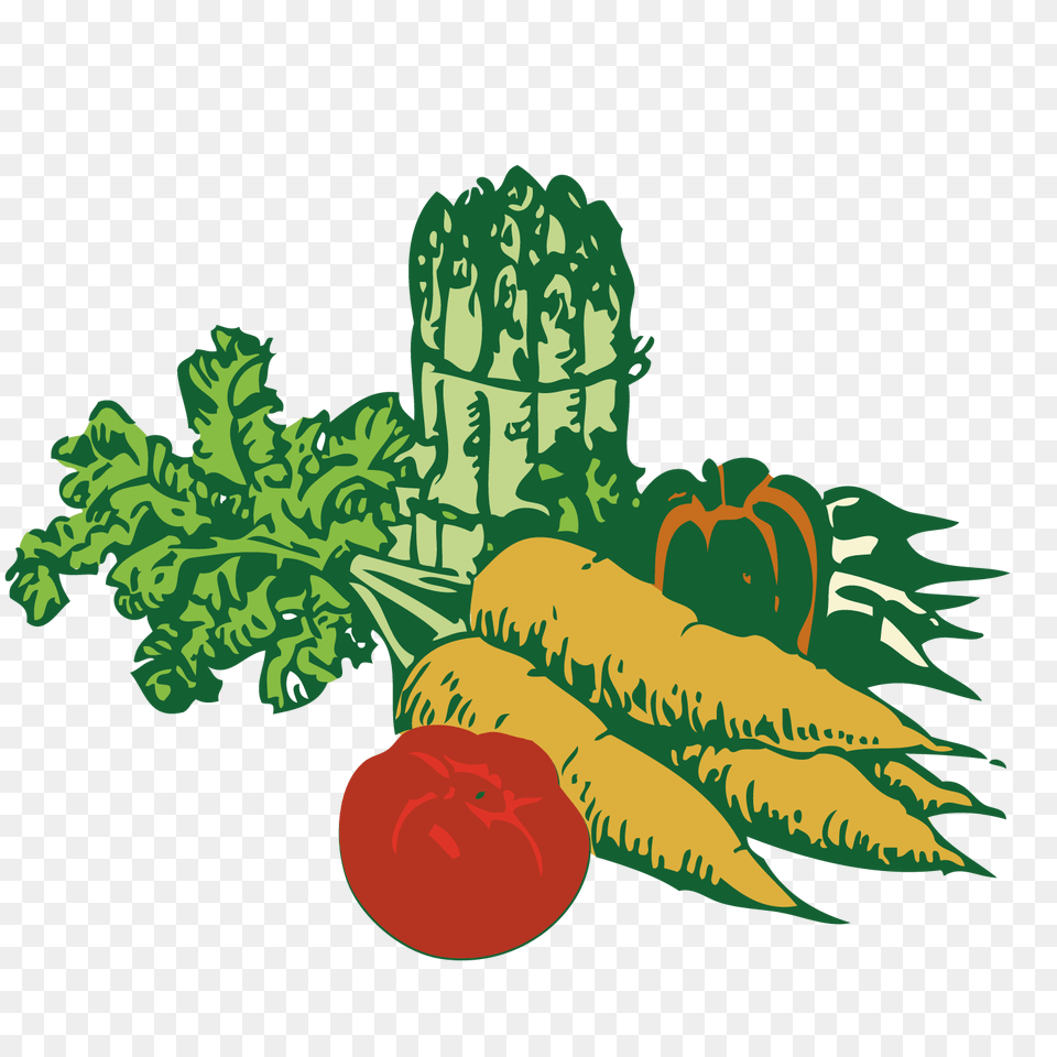 Vegetable Gardening Clip Art, Produce, Food, Radish, Plant Png Image