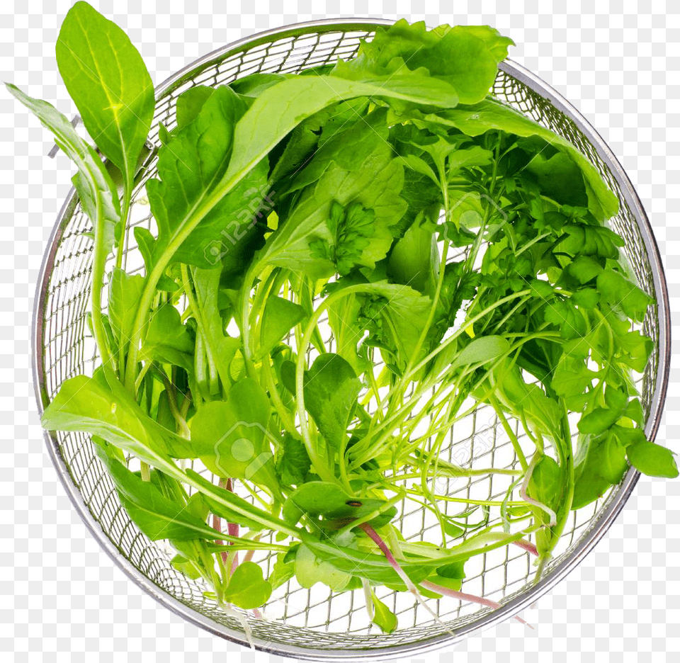 Vegetable Green Leaves Water Spinach, Arugula, Food, Leafy Green Vegetable, Plant Free Png Download