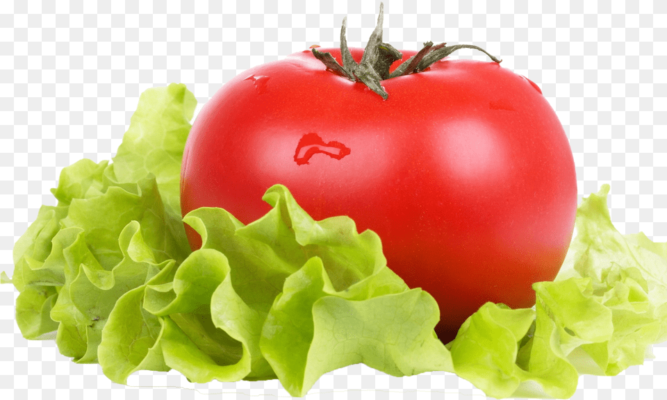 Vegetable Green Leaves Transparent Background Tomato And Lettuce, Food, Produce, Plant Png