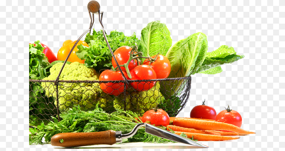 Vegetable Fruit And Veg Transparent Background, Food, Produce Png Image