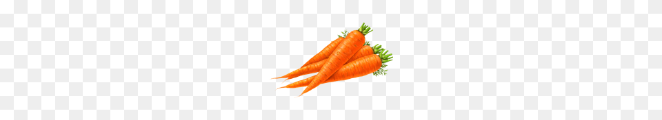 Vegetable Images Carrots, Carrot, Food, Plant, Produce Png Image