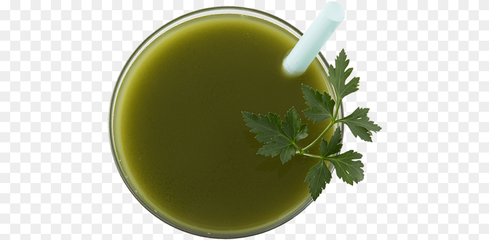 Vegetable Juice, Herbal, Herbs, Leaf, Plant Png Image