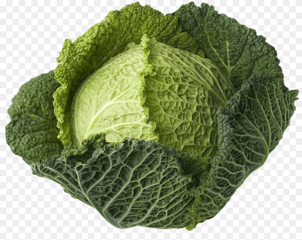 Vegetable Plant Green Cabbage, Food, Leafy Green Vegetable, Produce, Head Cabbage Free Transparent Png