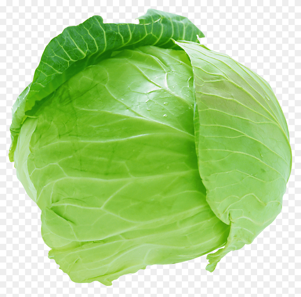 Vegetable Transparent Cabbage, Food, Leafy Green Vegetable, Plant, Produce Png Image