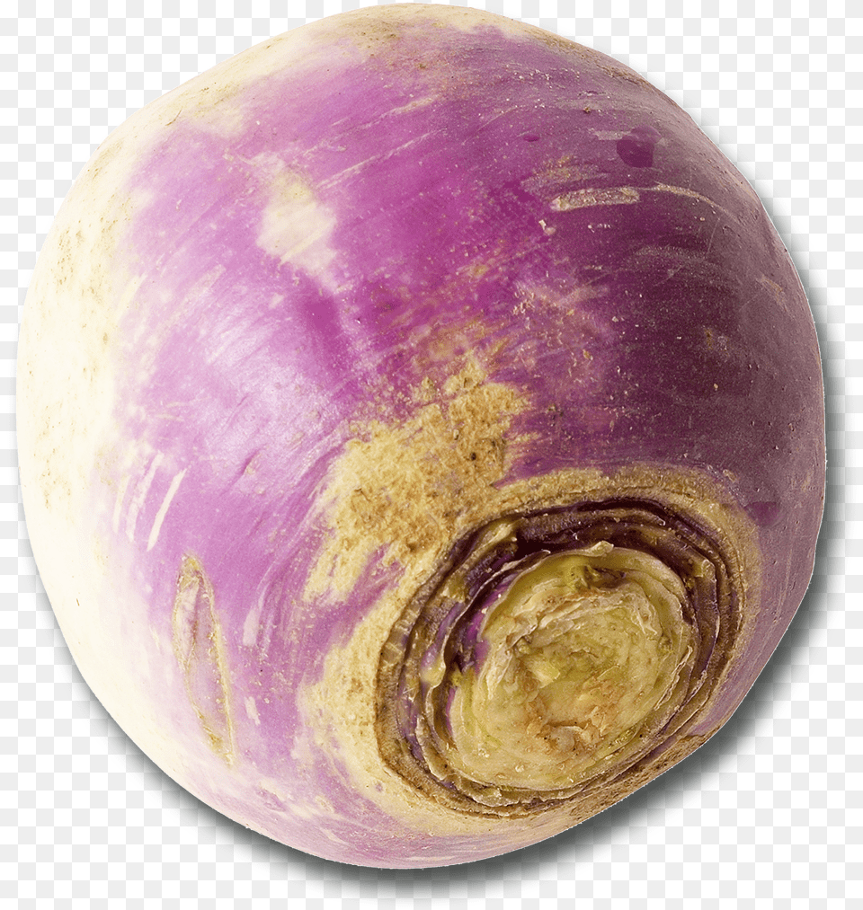 Vegetable Turnip, Food, Rutabaga, Produce, Plant Free Png Download