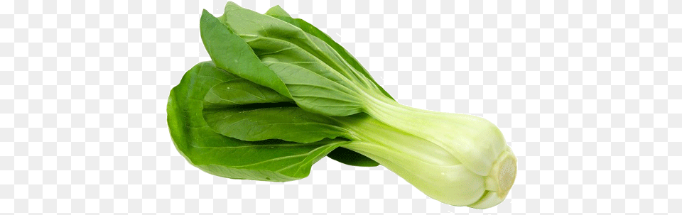 Vegetableleaf Sumleafflowerchinese Plantspinachromaine Bok Choy In Italiano, Food, Leafy Green Vegetable, Plant, Produce Free Png Download