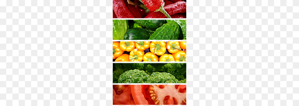 Vegetables Food, Produce, Bell Pepper, Pepper Free Png