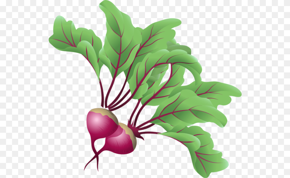 Vegetables, Art, Graphics, Pattern, Green Png Image