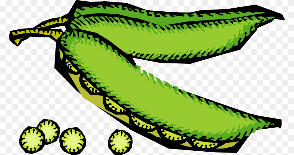 Vegetables 48 Clipart, Animal, Dinosaur, Reptile, Green Free Png Download