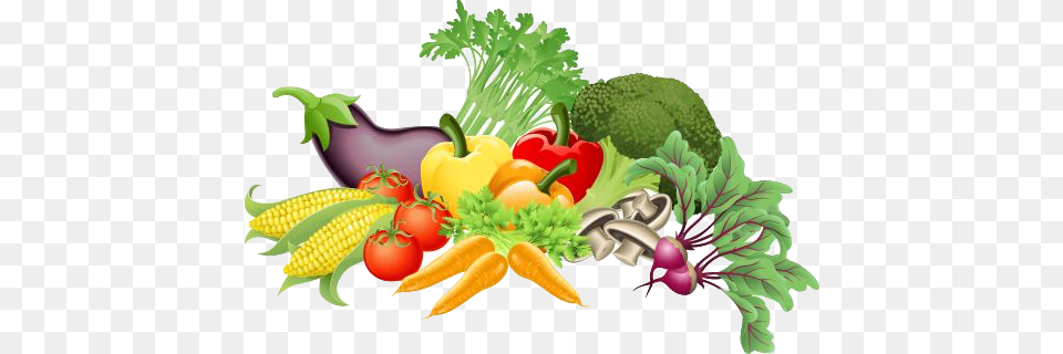 Vegetables And Fruit Clipart, Food, Produce Png