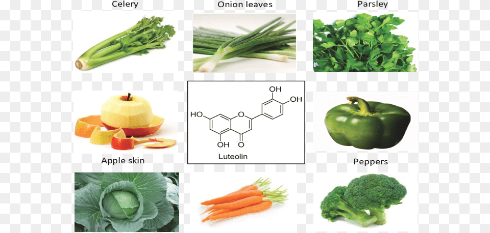 Vegetables And Fruits Such As Celery Parsley Broccoli Luteolin, Food, Produce, Apple, Fruit Png Image