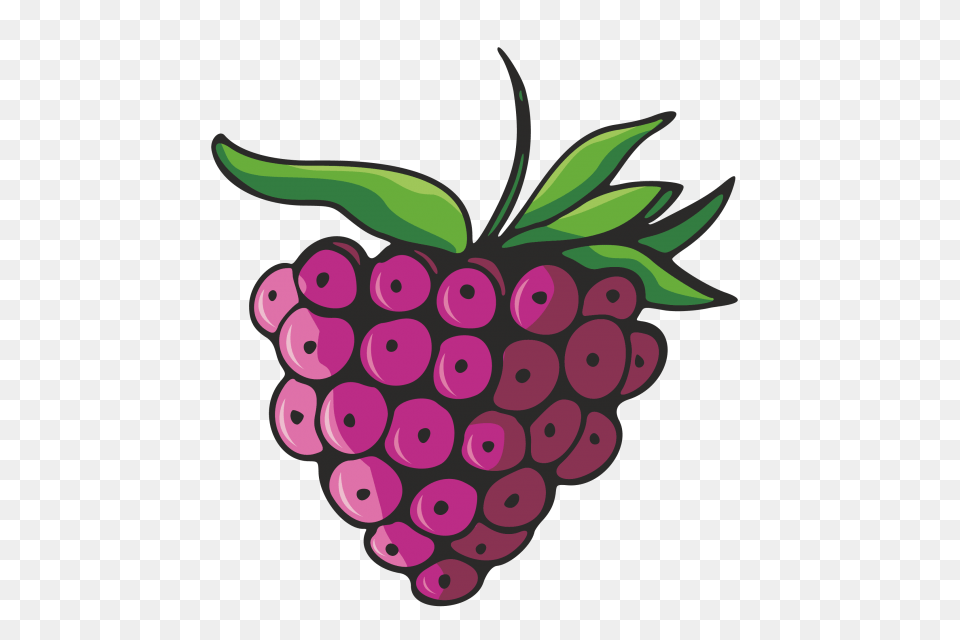 Vegetables And Fruits Vegetables Fruits Fruit And Vector, Berry, Food, Plant, Produce Png