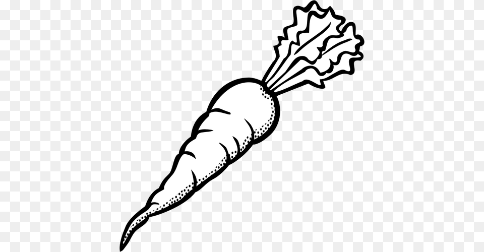 Vegetables Black And White Clip At Of Ripe Carrot In Black And White Carrot, Food, Plant, Produce, Vegetable Png