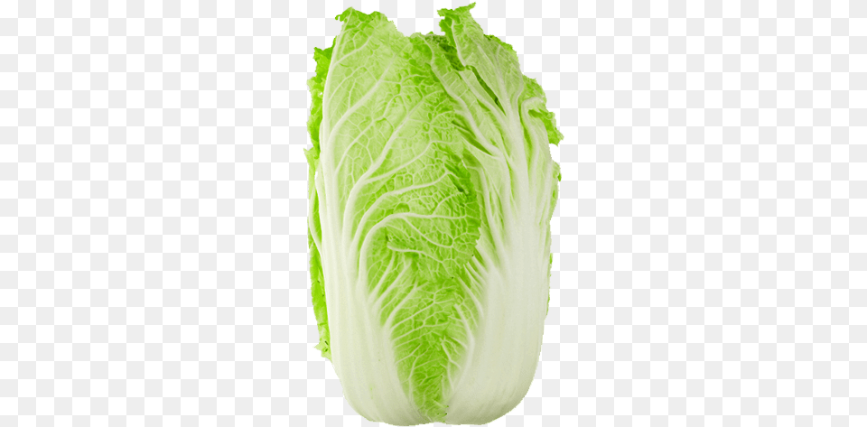 Vegetables Chinese Cabbage Transparent, Food, Leafy Green Vegetable, Plant, Produce Free Png Download