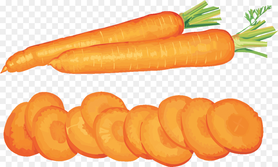 Vegetables Clipart Baby Vegetables Slices Cartoon, Carrot, Food, Plant, Produce Png