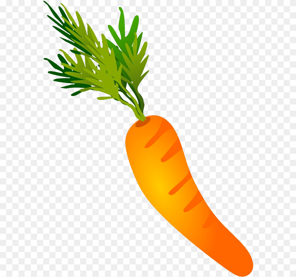 Vegetables Clipart Carrot Drawing, Food, Plant, Produce, Vegetable Free Png Download