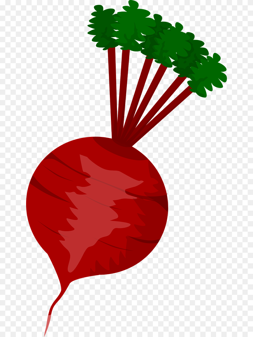 Vegetables Clipart Icon Beet Clipart, Food, Produce, Plant, Radish Png