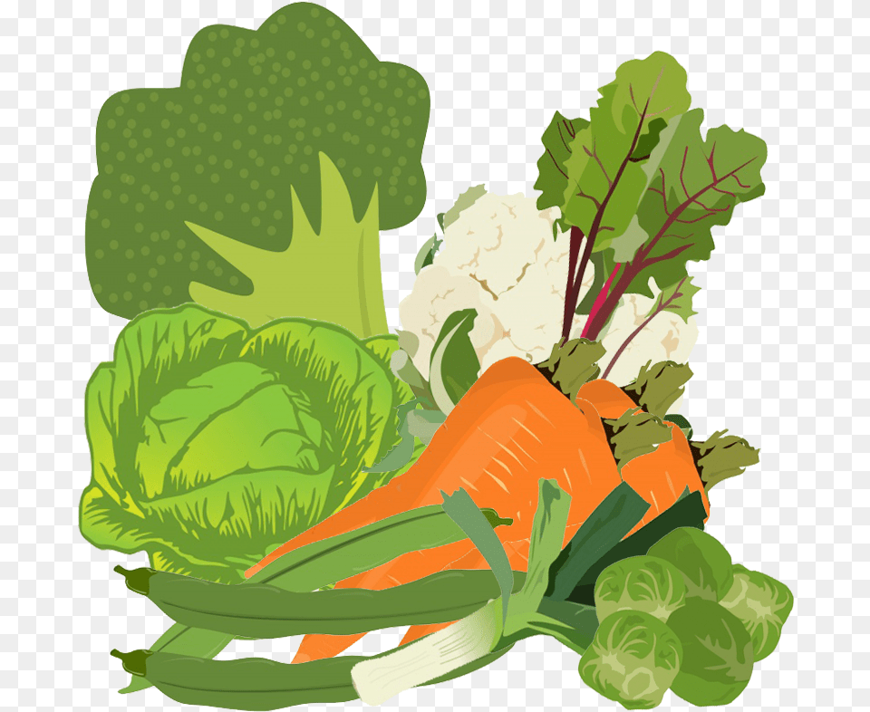Vegetables Clipart Mixed Vegetables Clipart, Food, Produce, Cauliflower, Plant Free Transparent Png