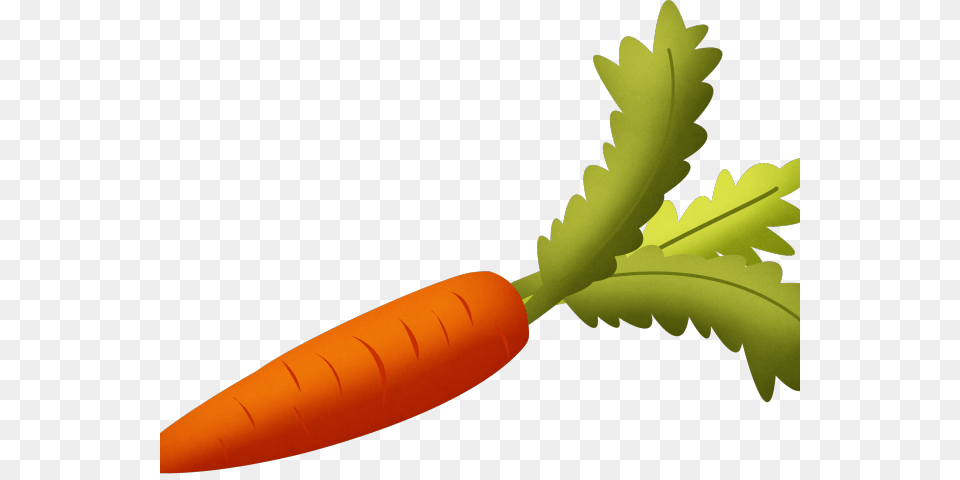 Vegetables Clipart Popular Transparent Background Carrot Clipart, Food, Plant, Produce, Vegetable Png