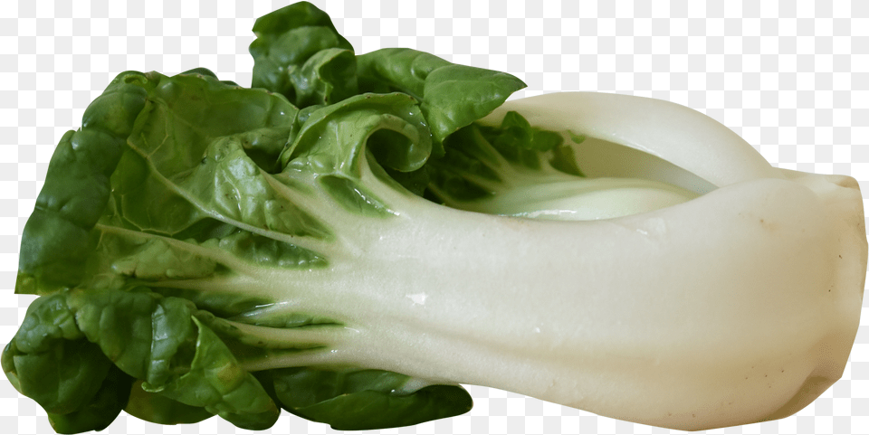 Vegetables Images Bok Choy, Food, Leafy Green Vegetable, Plant, Produce Free Transparent Png