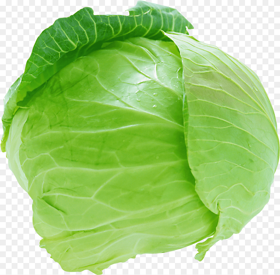 Vegetables Images Cabbage, Food, Leafy Green Vegetable, Plant, Produce Free Png Download