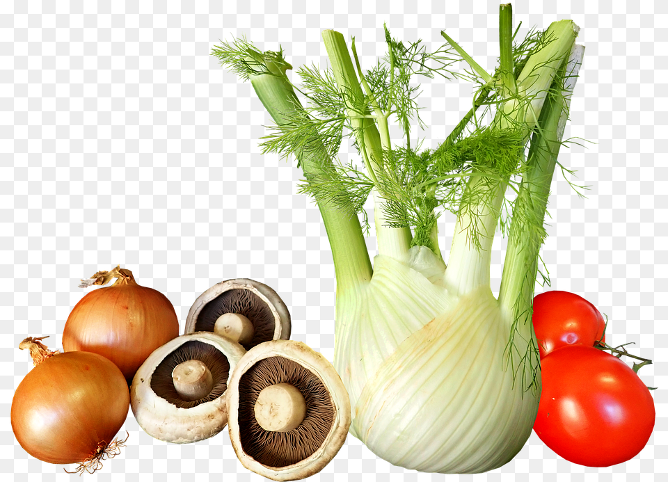 Vegetables Onions Fennel Tomato Mushroom Cooking Food To Eat When On Your Period, Fungus, Plant, Produce, Onion Png Image