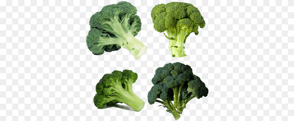 Vegetables Images Broccoli, Food, Plant, Produce, Vegetable Free Transparent Png