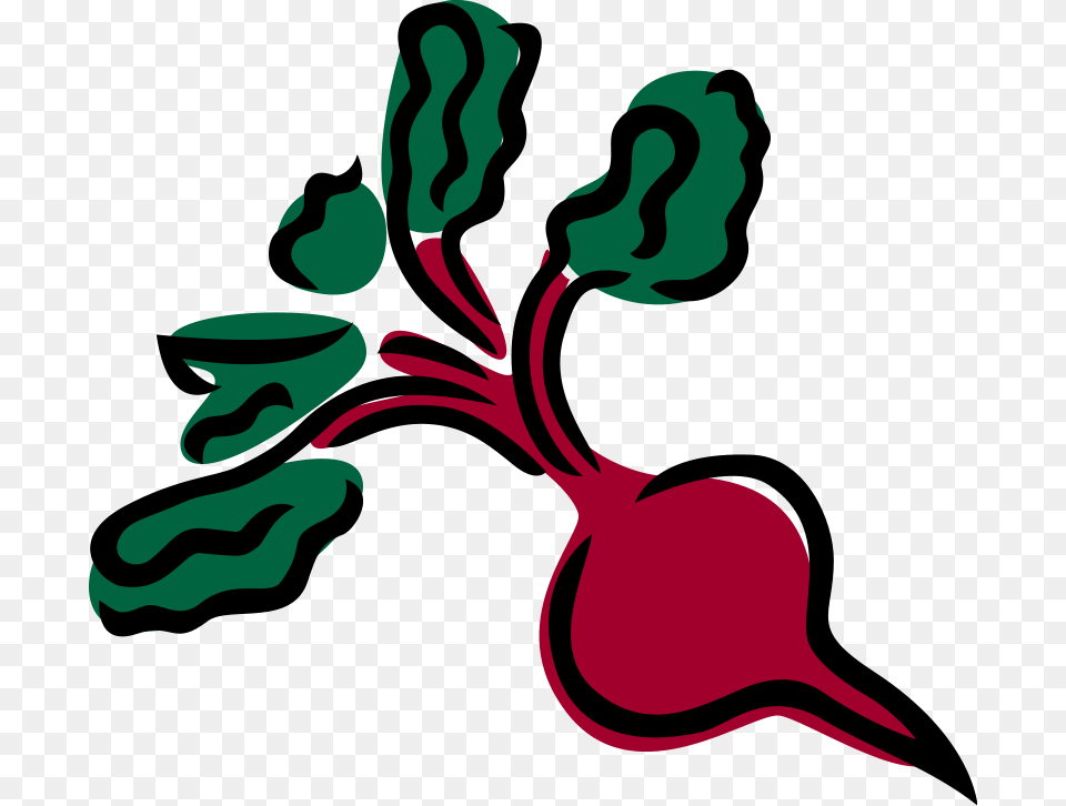 Vegetables Vector, Food, Plant, Produce, Radish Free Png
