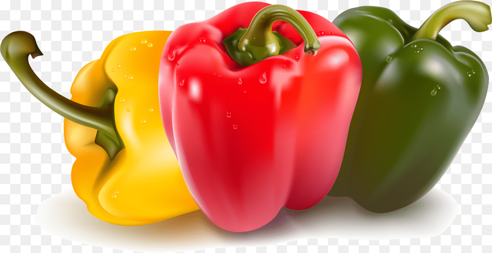 Vegetables Vector, Bell Pepper, Food, Pepper, Plant Free Png