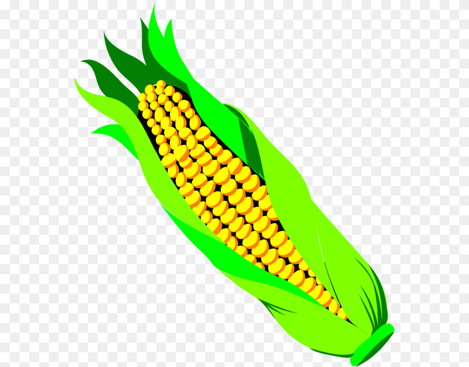 Vegetarian Cuisine Corn On The Cob Maize Vegetable Sweet Corn, Food, Grain, Plant, Produce Free Png Download