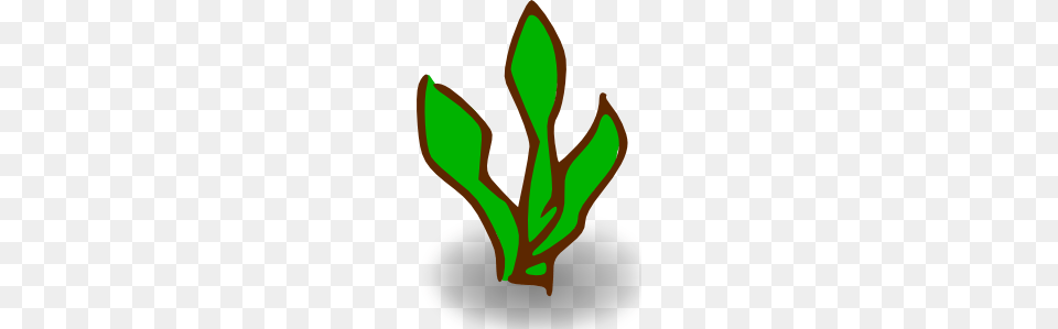 Vegetation, Leaf, Plant, Herbal, Herbs Free Transparent Png