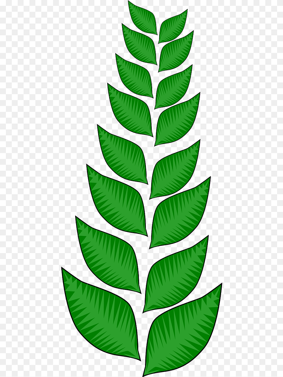 Vegetation, Green, Leaf, Plant, Tree Png Image