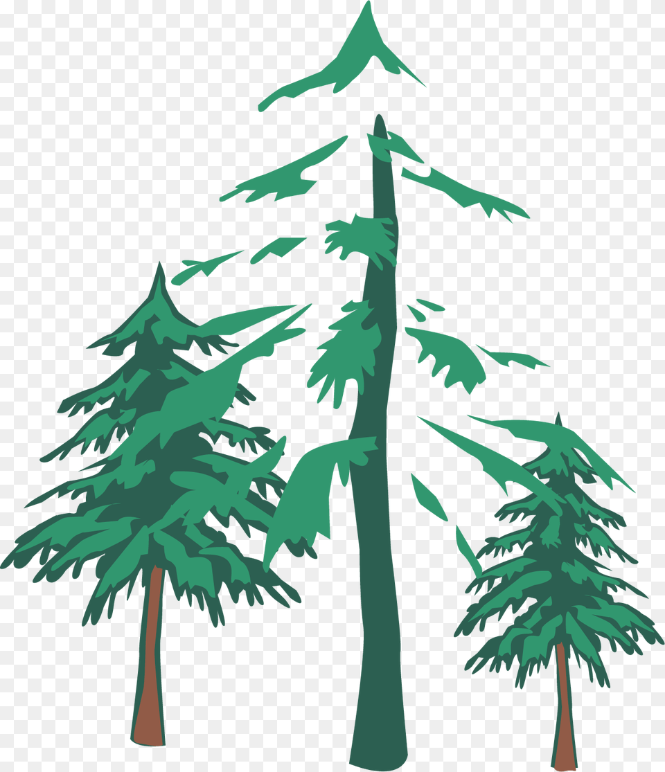 Vegetation, Fir, Tree, Plant, Pine Png Image