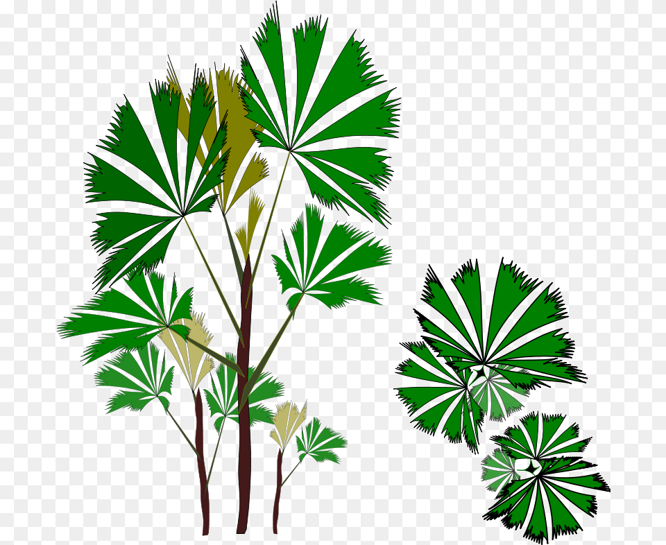 Vegetation Clip Art, Green, Tree, Plant, Palm Tree Png Image