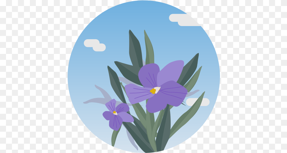 Vegetation Flowers Plants Teide Grasses, Flower, Plant, Purple, Iris Png