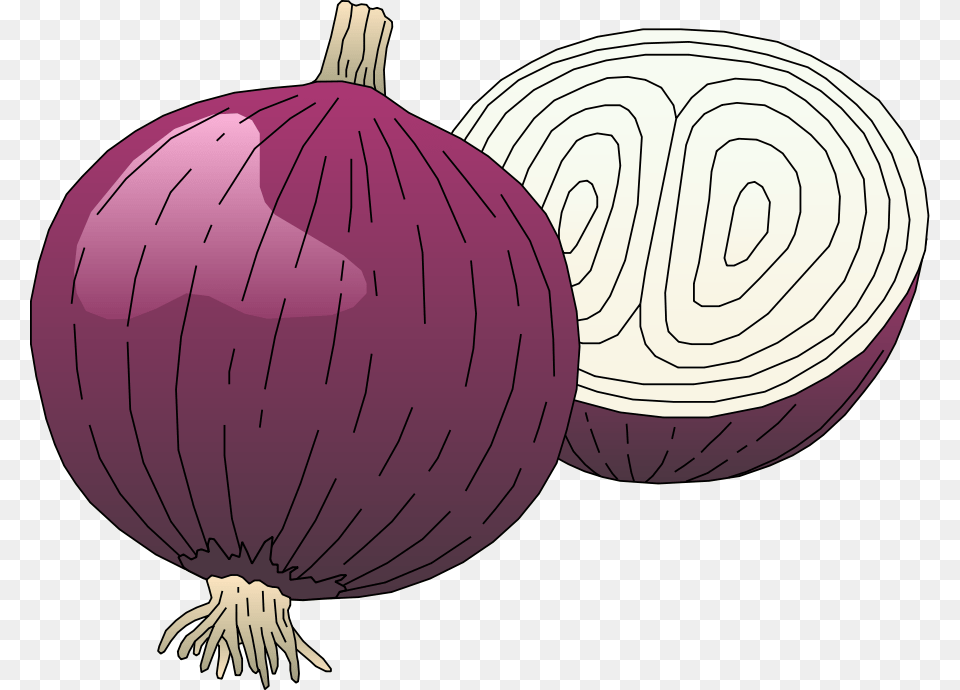 Veggies Clipart Onion Vegetable Onion Clipart, Food, Produce, Plant Png