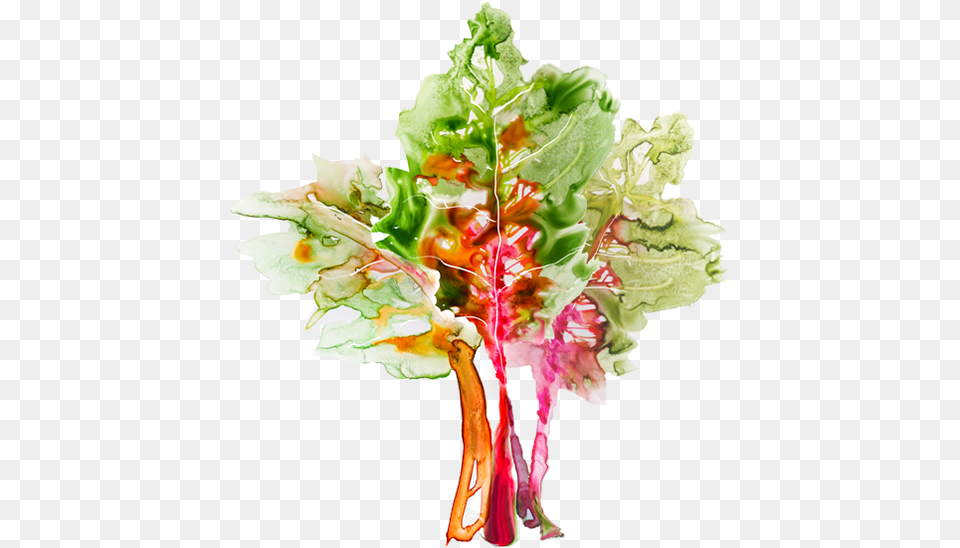 Veggies For Holli Thompson Watercolor Painting, Leaf, Plant, Food, Produce Free Png Download