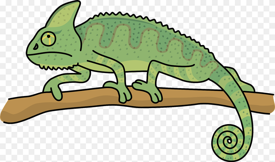 Veiled Chameleon Animal On A Branch Clipart, Reptile, Lizard, Iguana, Green Lizard Png Image