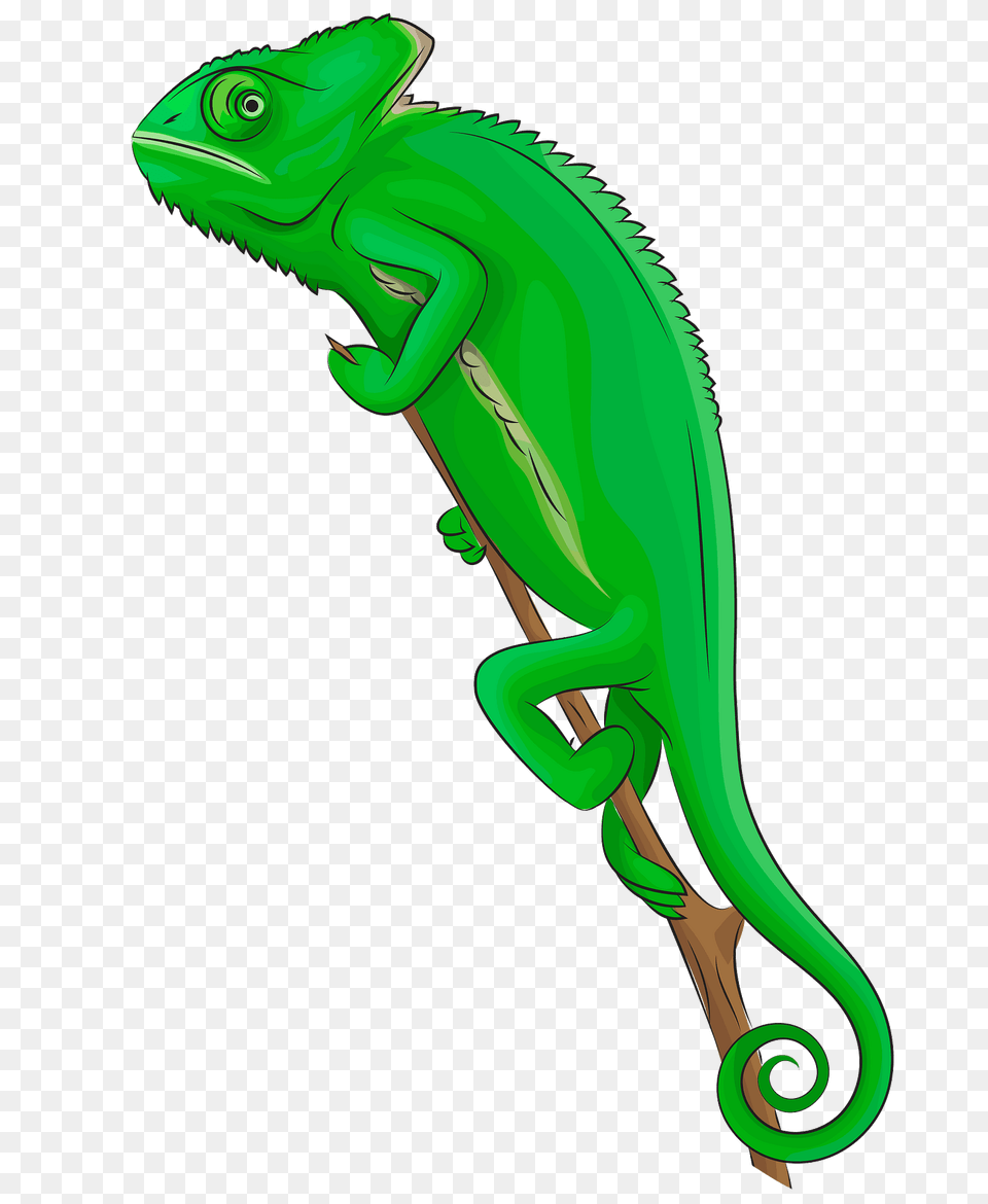 Veiled Chameleon Clipart, Animal, Lizard, Reptile, Green Lizard Png