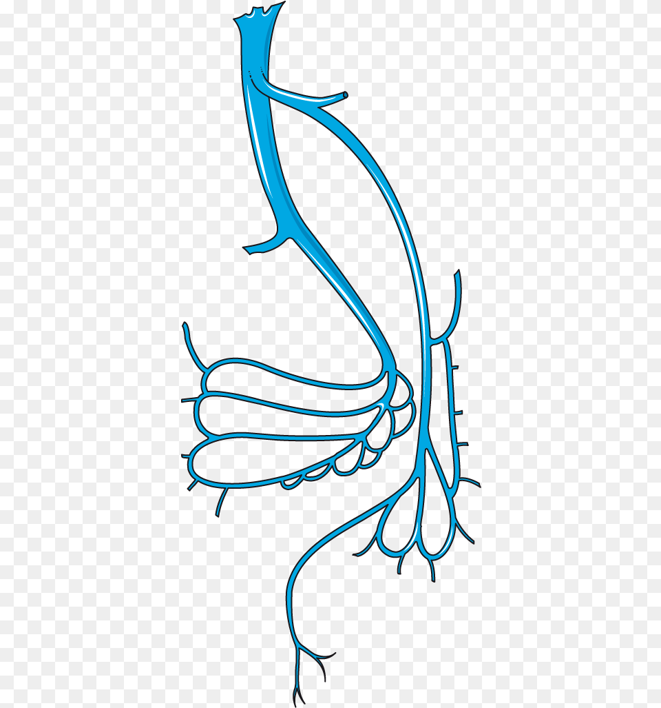Vein Cartoon Artistic, Bow, Weapon, Pattern Free Transparent Png