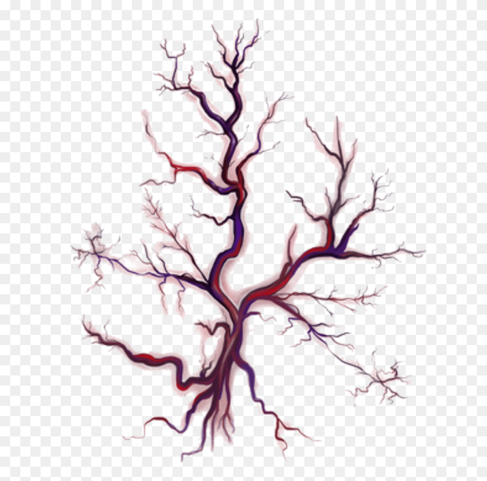 Veins, Pattern, Art, Outdoors Free Png Download